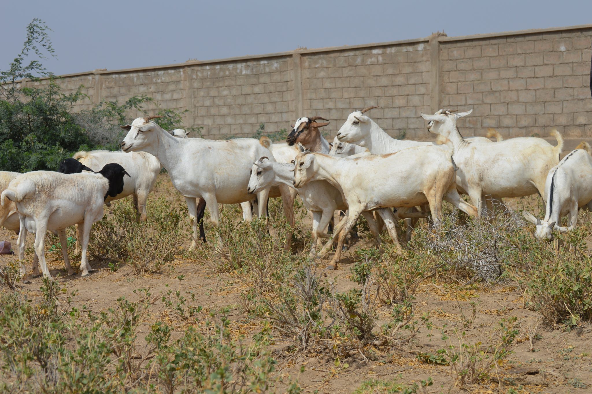 Photo Gallery in Oromia Region